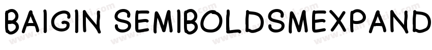 BAIGIN SEMIBOLDSMEXPANDED字体转换